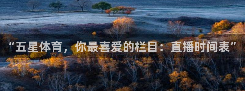 24直播网电脑版