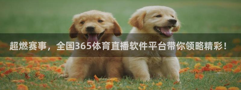 足球直播24直播网