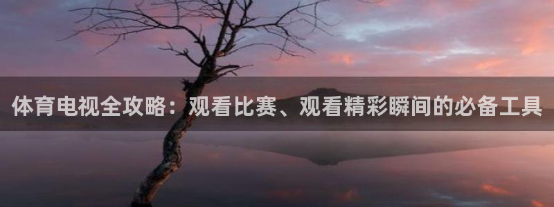 24直播网nba