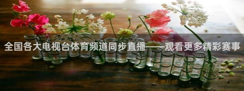 24直播网回放功能