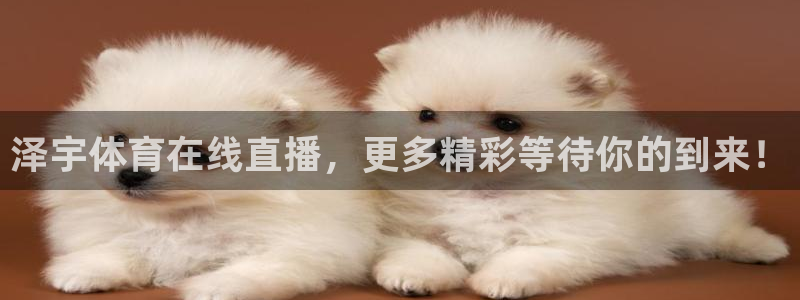 24直播网体育