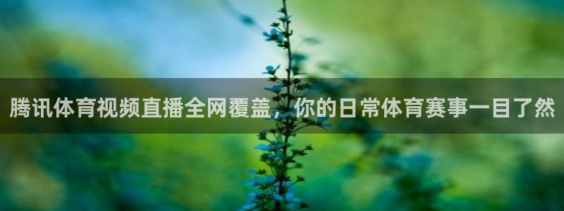24直播网体育直播高清：腾讯体育视频直播全网覆盖，你的日常体育赛事一目了然
